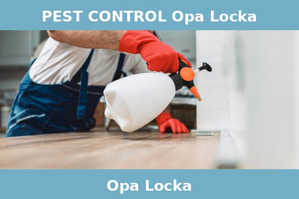 PEST CONTROL Opa Locka